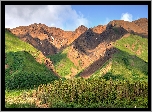 Stany Zjednoczone, Stan Alaska, Park Narodowy Denali, Góry Alaska, Kordyliery, Drzewa