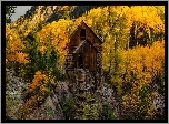 Stany Zjednoczone, Kolorado, Młyn wodny, Crystal Mill, Jesień, Drzewa, Skały