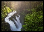 Stany Zjednoczone, Stan Waszyngton, Park Narodowy Olympic, Las, Wodospad Sol Duc Falls, Rzeka, Drzewa, Mgła