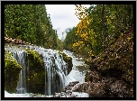 Stany Zjednoczone, Waszyngton, Rzeka, Lewis River, Skały, Kamienie, Las, Drzewa