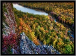 Stany Zjednoczone, Stan Michigan, Hrabstwo Ontonagon, Jezioro Lake of the Clouds, Jesień, Lasy, Skała, Roślinność