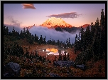 Stany Zjednoczone, Stan Waszyngton, Park Narodowy Mount Rainier, Góry, Stratowulkan Mount Rainier, Drzewa, Jezioro Tipsoo, Mgła