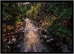 Stany Zjednoczone, Stan Waszyngton, Hrabstwo King County, Rzeka Taylor River, Jesień, Las, Kamienie