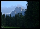 Tatry, Dolina Białej Wody, Góry, Las