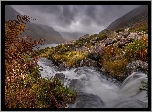 Wielka Brytania, Walia, Rzeka Afon Ogwen, Rzeka, Góry, Kamienie, Paprocie, Mgła