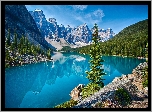 Kanada, Prowincja Alberta, Park Narodowy Banff, Góry, Jezioro Moraine, Świerki