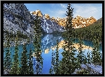 Kanada, Prowincja Alberta, Park Narodowy Banff, Jezioro Moraine, Drzewa, Świerki