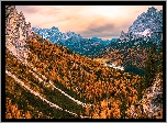 Góry, Dolomity, Cadini di Misurina, Drzewa, Dolina, Włochy