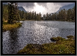 Jezioro, Lago di San Pellegrino, Drzewa, Trydent, Włochy