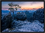 Park Narodowy Saskiej Szwajcarii, Niemcy, Zachód Słońca, Skały, Drzewo, Góry Połabskie, Sosna