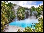 Nowa Zelandia, Waimangu Volcanic Valley, Jezioro, Para