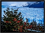 Zima, Lodowiec, Perito Moreno