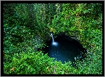 Wodospad Punch Bowl Falls, Las, Paprocie, Drzewa, Oregon, Stany Zjednoczone